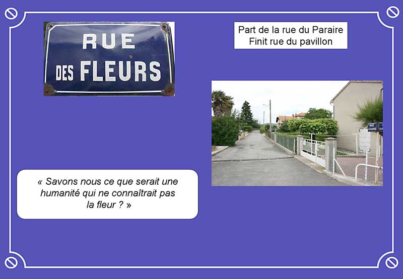  Rue des Fleurs 