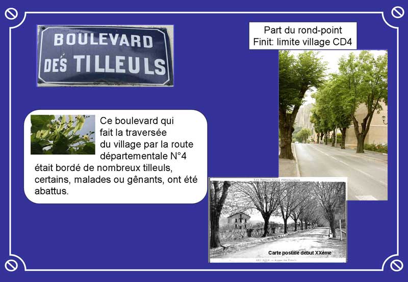  Boulevard des Tilleuls 