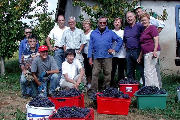  Vendanges 2002 