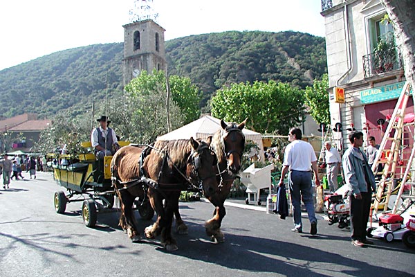  Journée de l'Olivier 